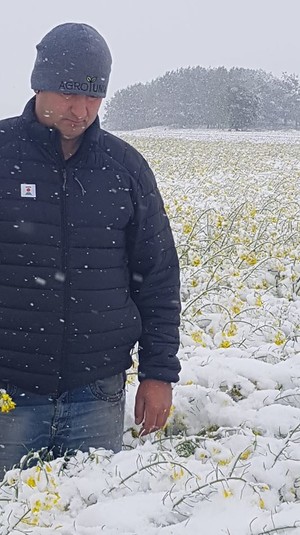 Фермери шоковані: Польщу засипало снігом