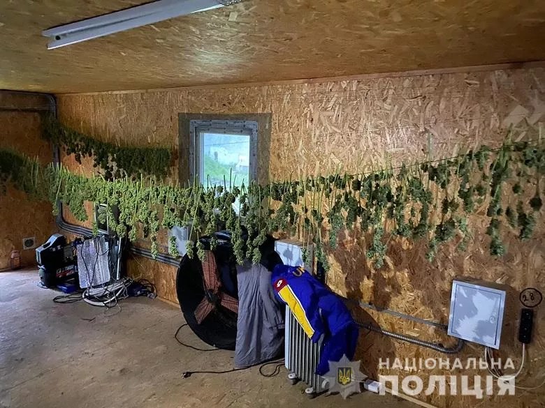 На Київщині фермер вирощував та збував коноплі
