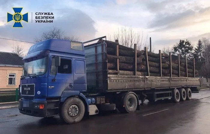 Викрав лісу на 200 тисяч: на Черкащині засудили ексдиректора лісгоспу