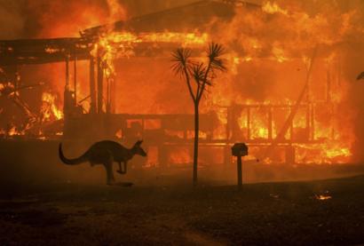 Пожежі в Австралії: “пекло на Землі”