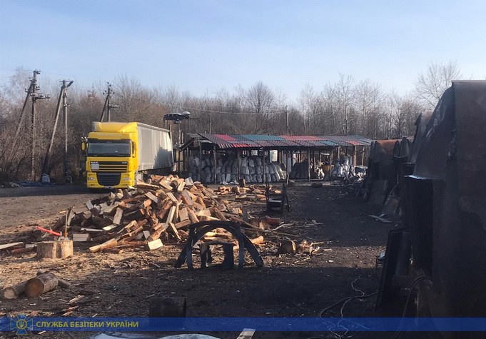 Нелегальний експорт деревини на Житомирщині викрила СБУ