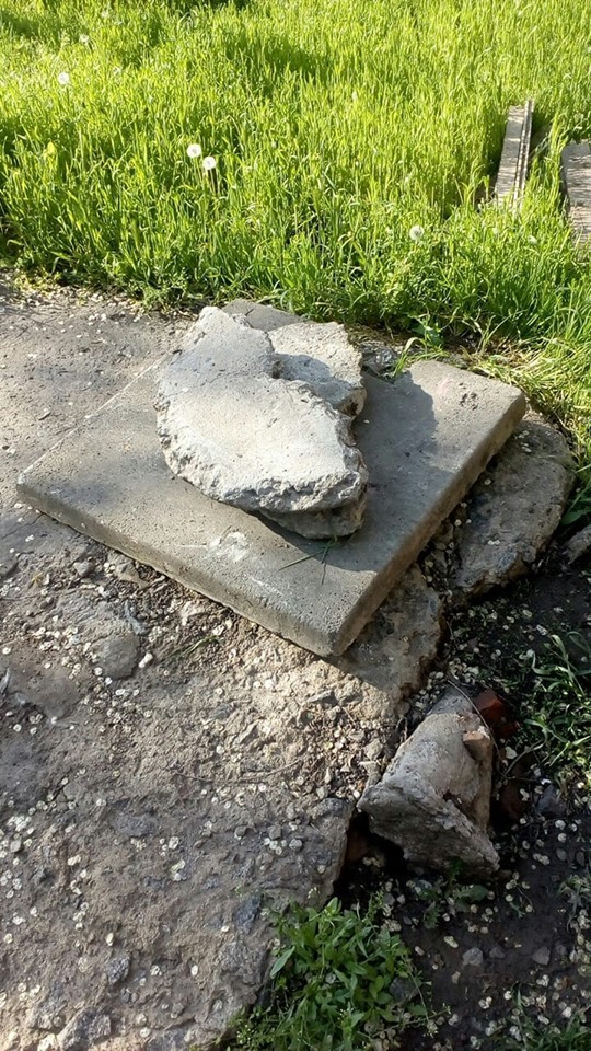 У Кривому Розі комунальники накрили бетонною плитою люк з живою собакою