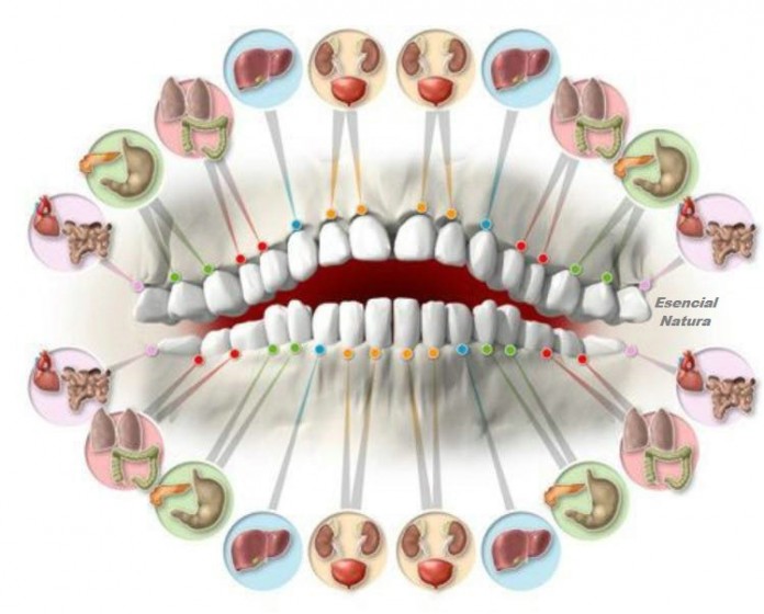 Читаємо по зубах про хвороби ... Лікарі здивовані точністю цього методу!